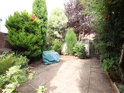Picture 12